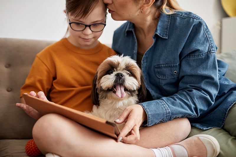 Emotional Support Dogs