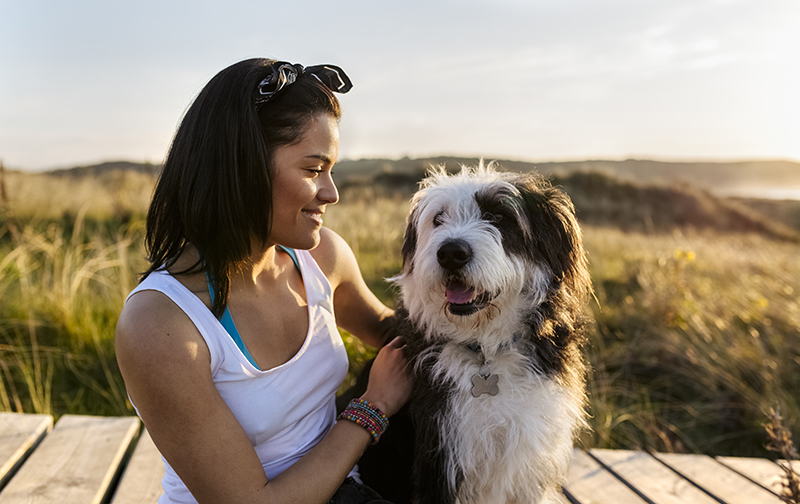 Emotional Support Dogs