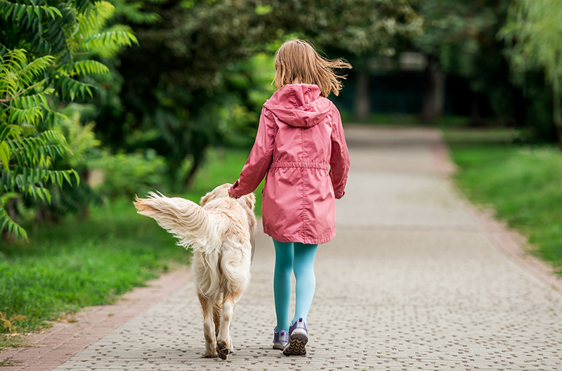 Autism Assistance Dog