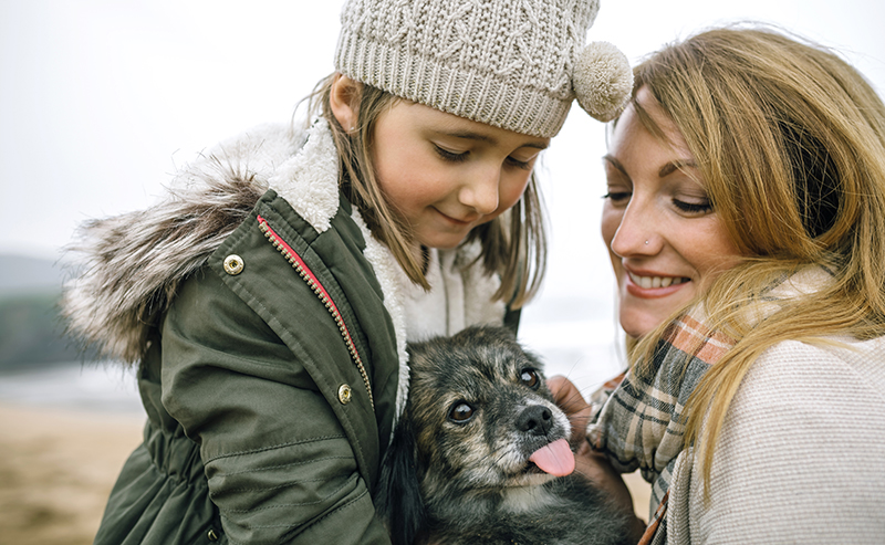 Autism Assistance Dog