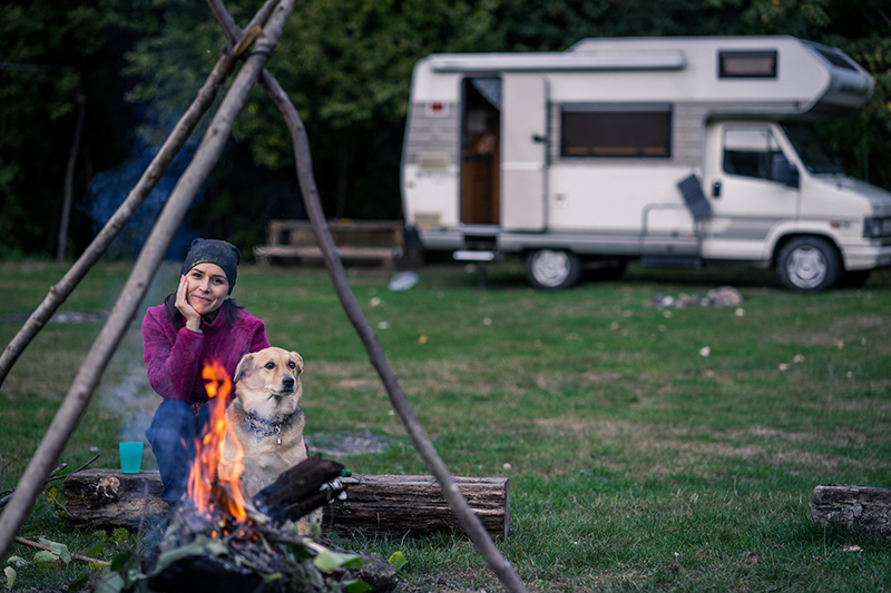 Hearing Dog