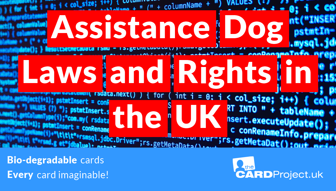 Assistance Dog Laws and Rights in the UK