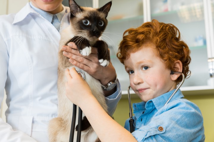 Junior Vet Photo ID Card by The Card Project UK