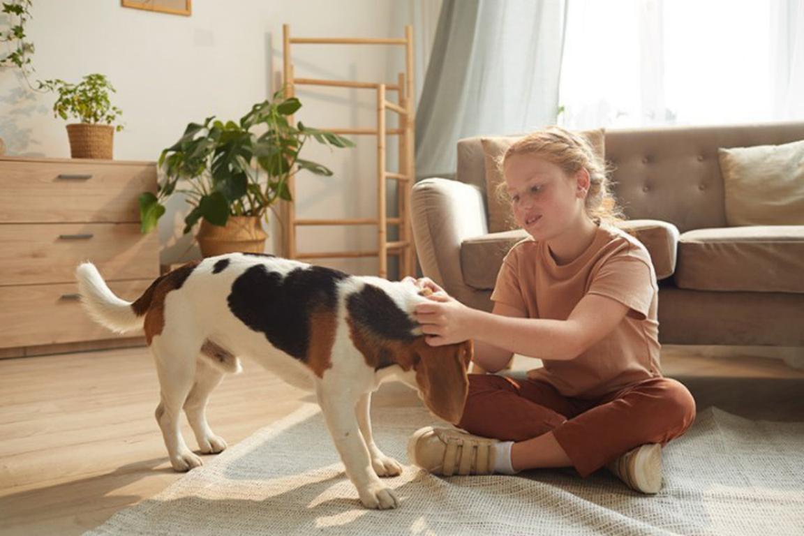 Dog Microchip ID Card by The Card Project UK