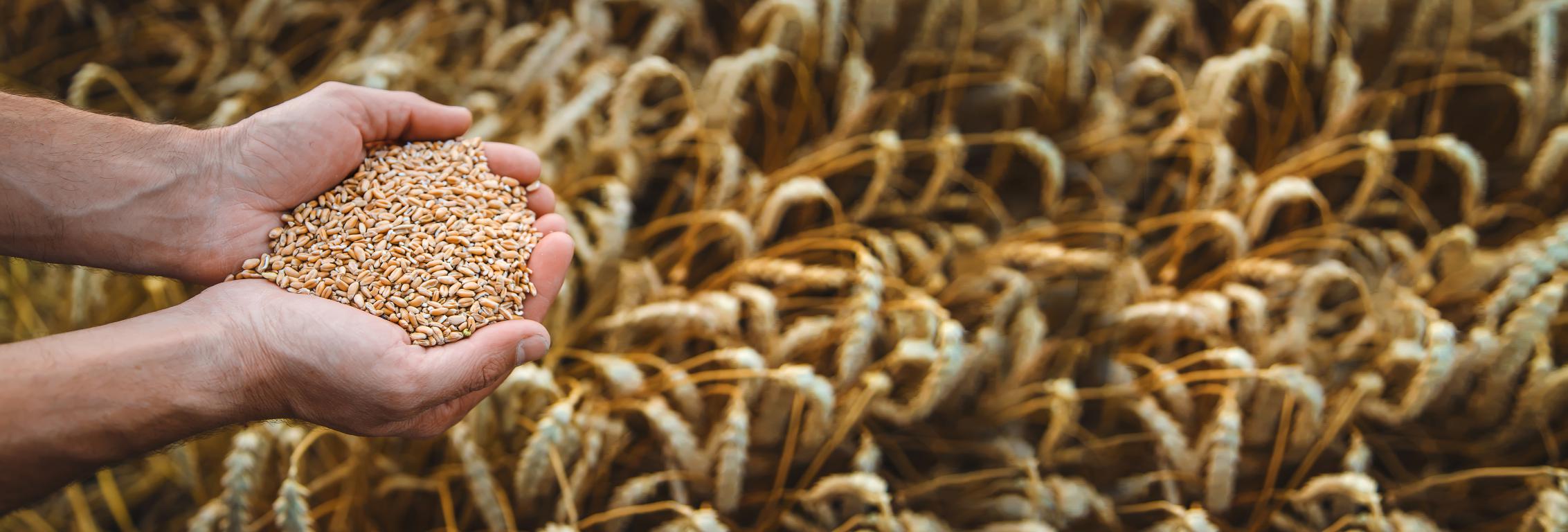 What You Need To Know About Celiac Disease by The Card Project UK