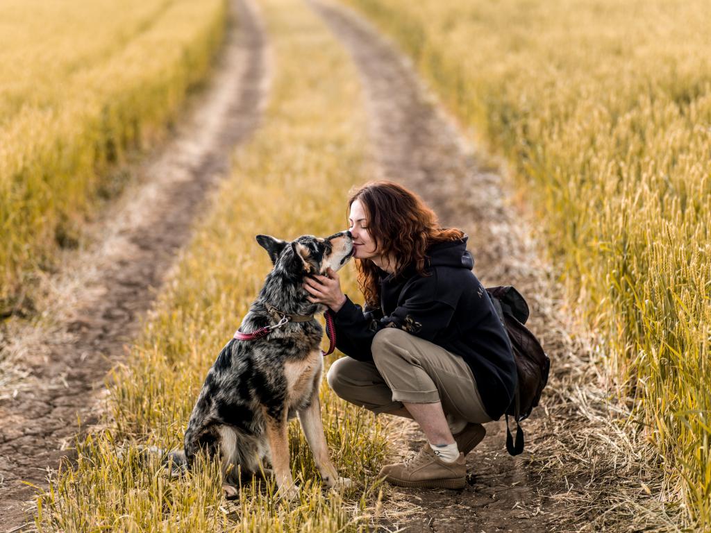 A woman kneels in a field and gently kisses her loving merle collie-type dog, illustrating the deep emotional reason for ensuring a pet is microchipped.