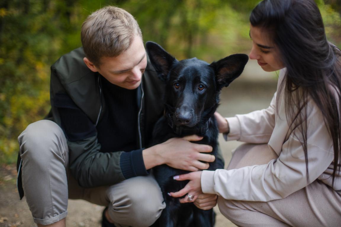A young couple lovingly strokes their black German Shepherd, showing the emotional investment that makes understanding insurance costs so important.