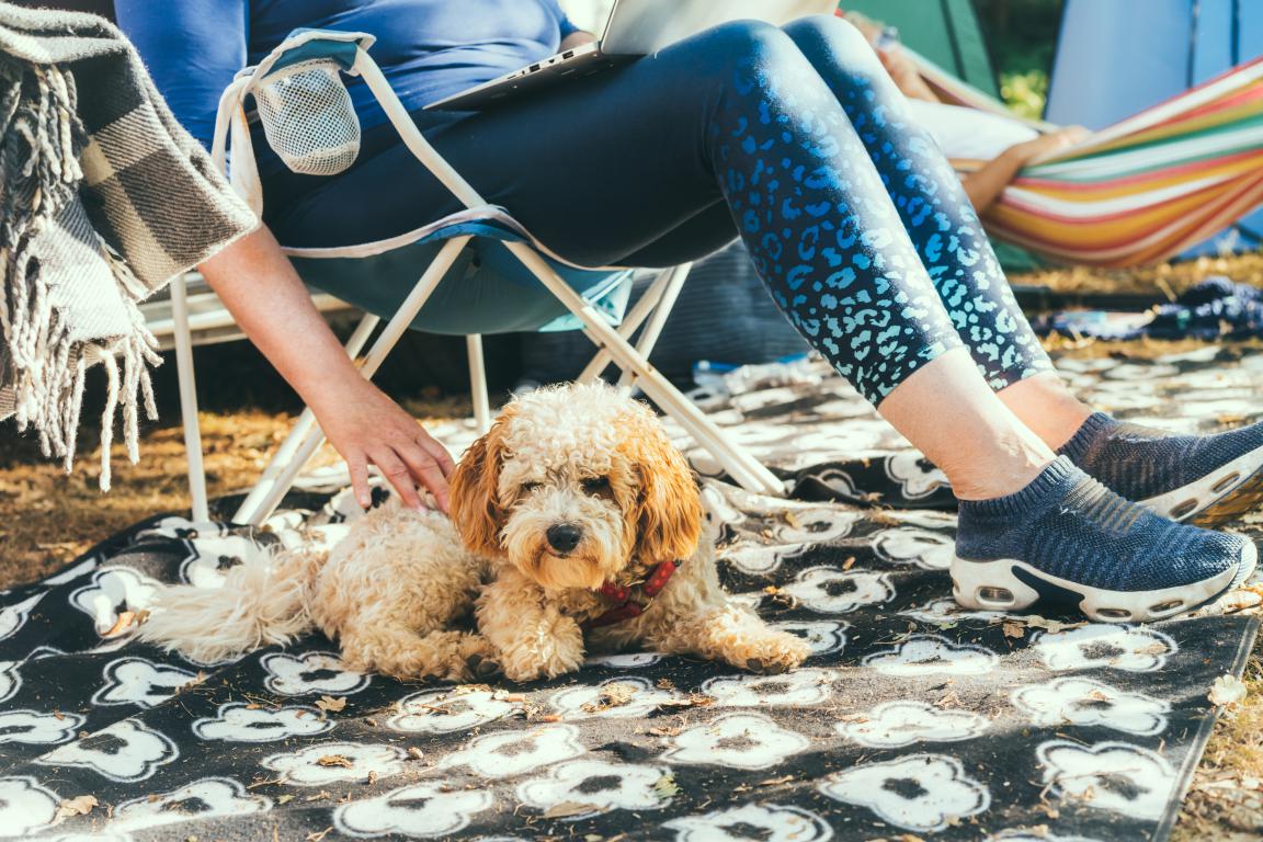 A small Cockapoo puppy, lies on a black and white patterned outdoor rug. A person's hands are visible, gently petting the dog, while the person sits in a camping chair with a laptop on their lap.
