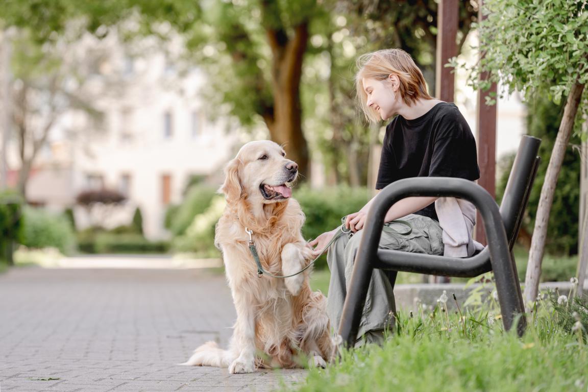 A young person with short blonde hair sits on a park bench, gently holding the paw of a golden retriever that is looking up at them. The dog is on a lead and appears to be interacting calmly with its handler.