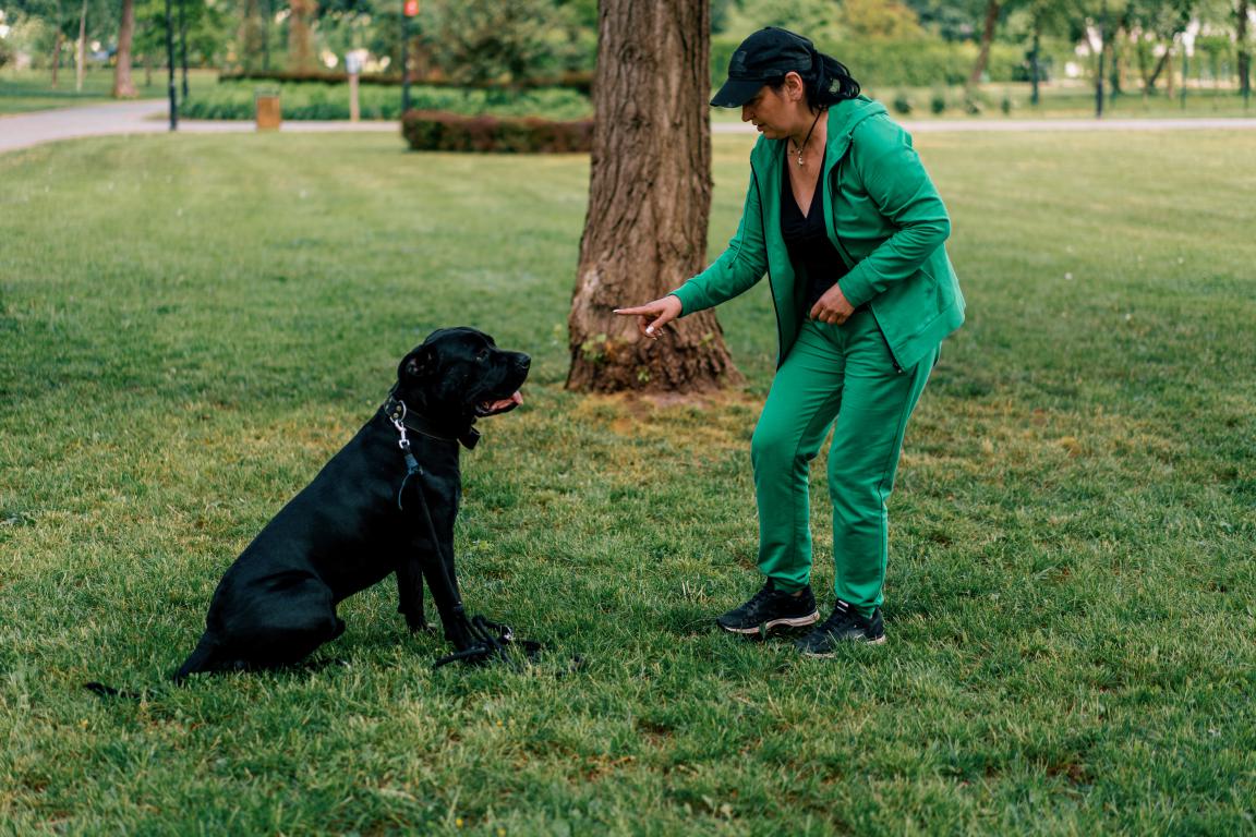 A woman in a green tracksuit points at a black dog sitting attentively on green grass in a park, demonstrating dog training.