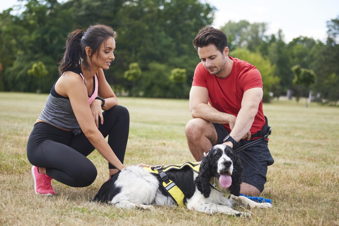 A man and a woman kneel on dry grass, gently petting a black and white dog wearing a yellow assistance vest, suggesting the bond and care for a service dog.