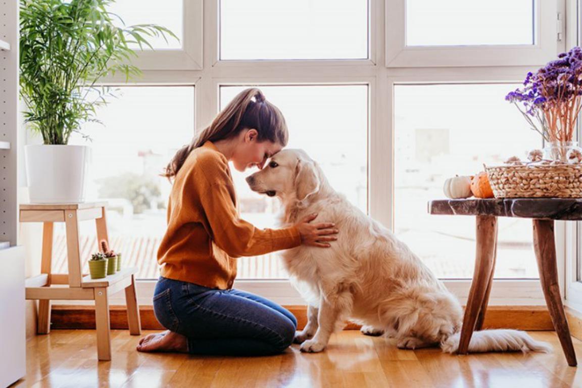 A woman and dog sit on the floor, the woman is holding the dog and the love between them is obvious
