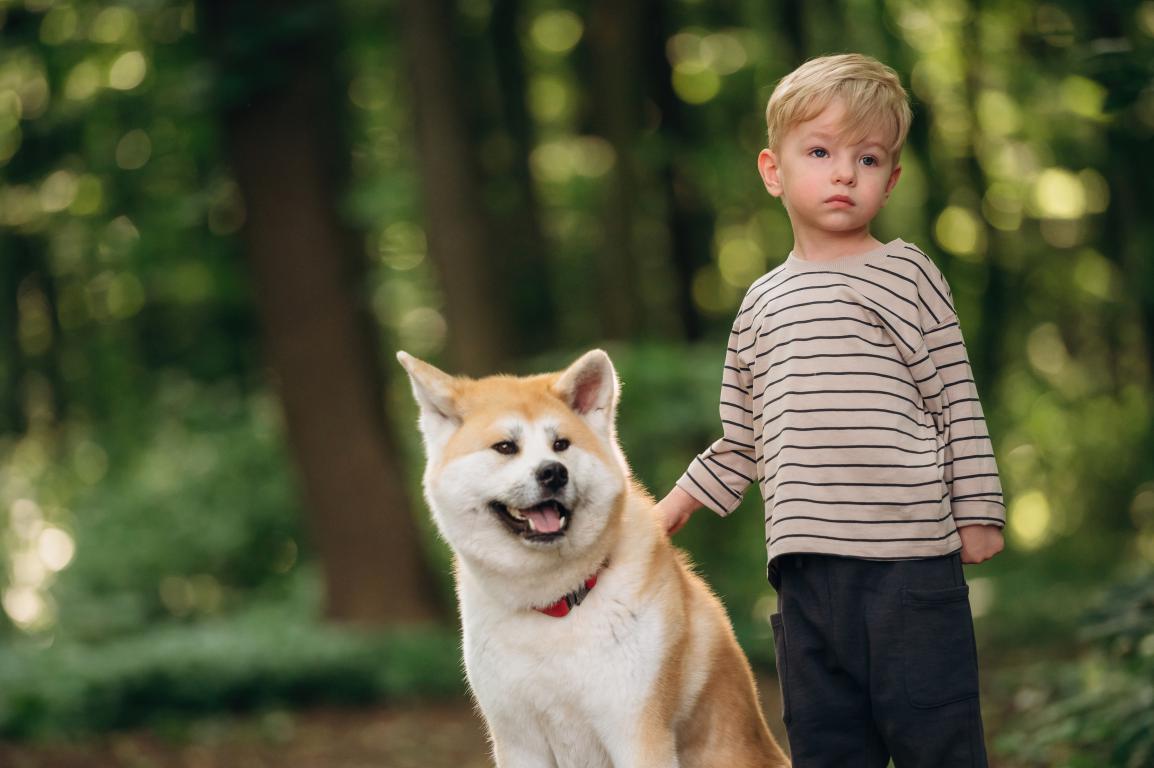 A young boy in a striped shirt stands in a forest, gently touching an Akita dog sitting beside him, both looking away from the camera.
