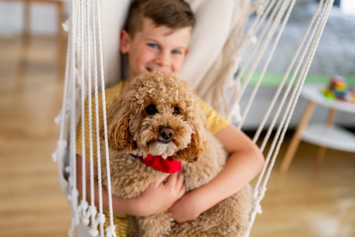 A boy sits in a woven swing chair, holding a fluffy brown poodle mix close to him, both looking towards the camera.