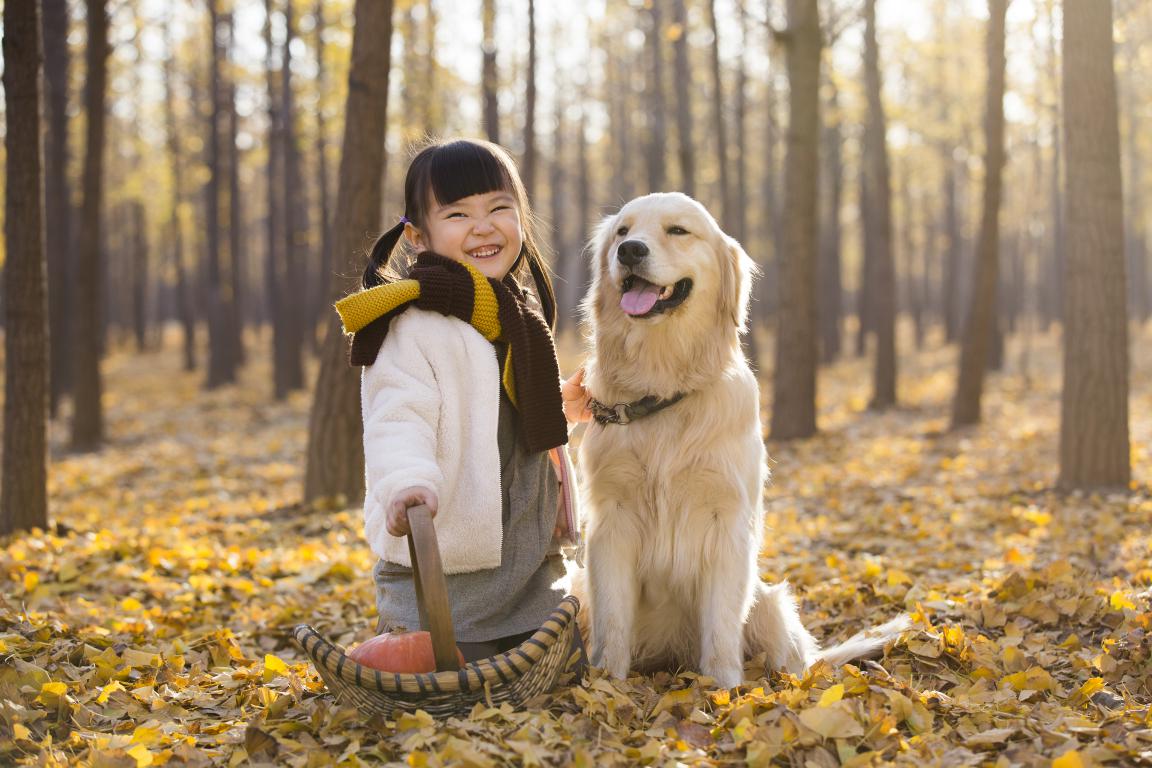 A smiling girl with pigtails and a scarf stands in an autumn forest with yellow leaves, next to a golden retriever, with a basket of pumpkins nearby.