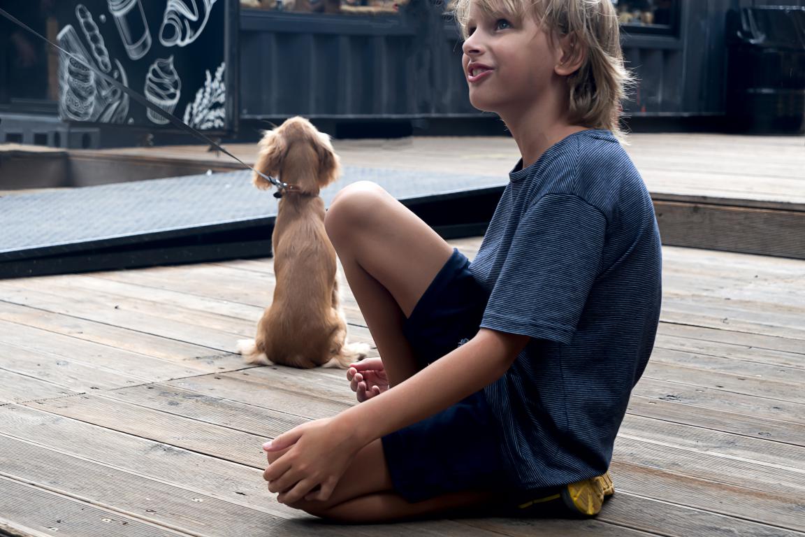  A boy with blonde hair sits on a wooden deck, looking up and to the side, with a small light brown dog sitting behind him, facing away.