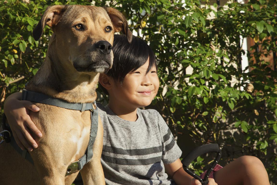 A boy with dark hair and a striped shirt sits next to a tan dog wearing a harness, with the boy's arm around the dog, looking off into the distance