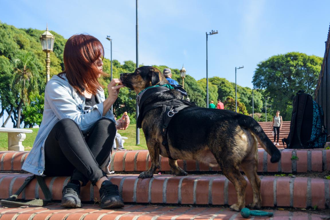 A woman with reddish-brown hair, wearing a denim jacket and black jeans, sits on brick steps, offering a treat to a dark-coloured dog wearing a harness.