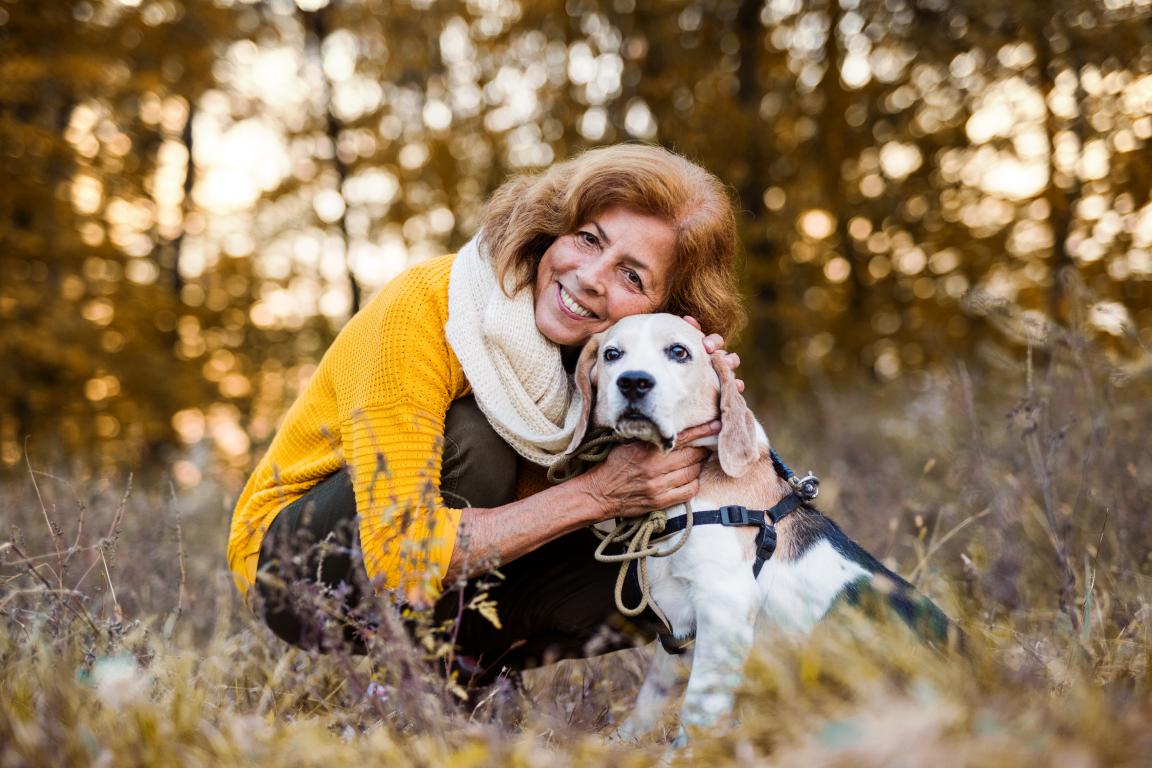 A smiling older woman with red hair and a yellow jumper crouches down, affectionately hugging a small to medium-sized beagle-type assistance dog in a harness in an autumnal outdoor setting