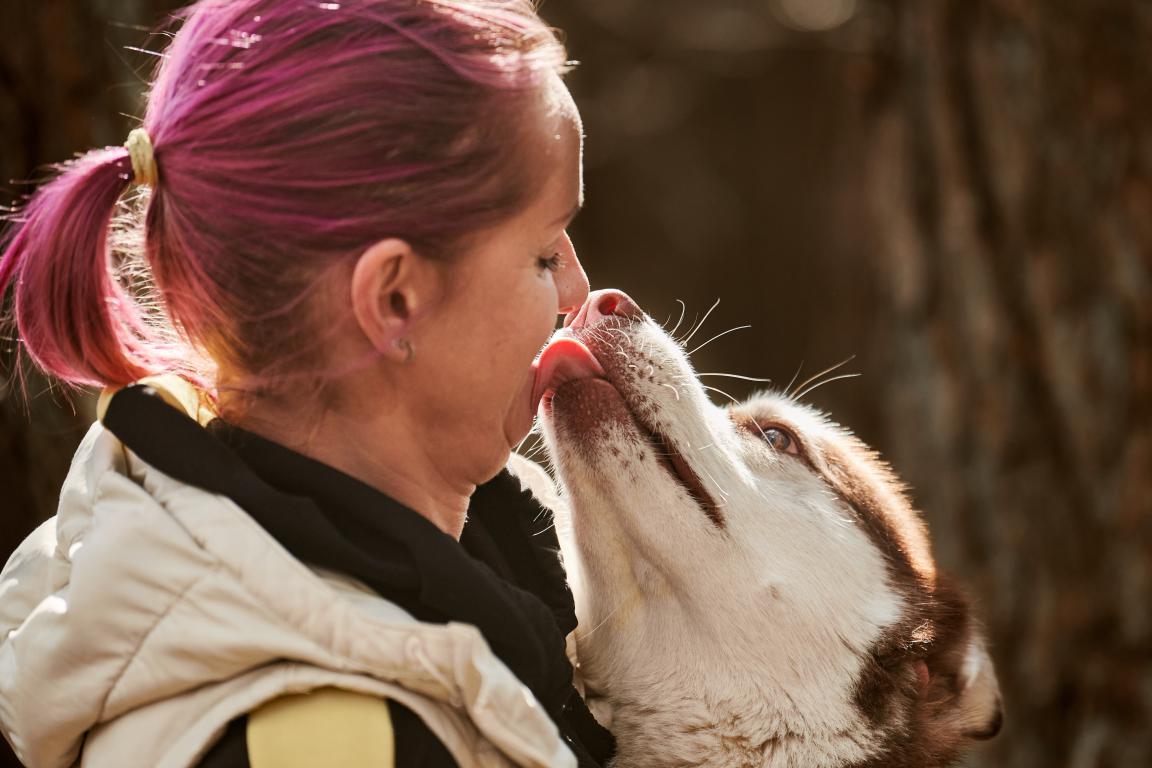  A woman with bright pink hair looks with affection at a brown and white husky-type dog, which is gently licking her chin, highlighting the deep bond. The background is blurred trees