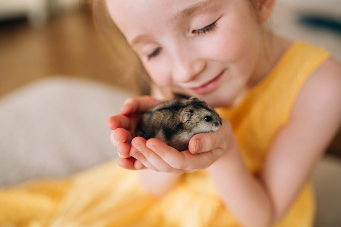 A young child with light brown hair and a yellow dress gently cradles a small, grey and white hamster in their cupped hands, smiling softly.