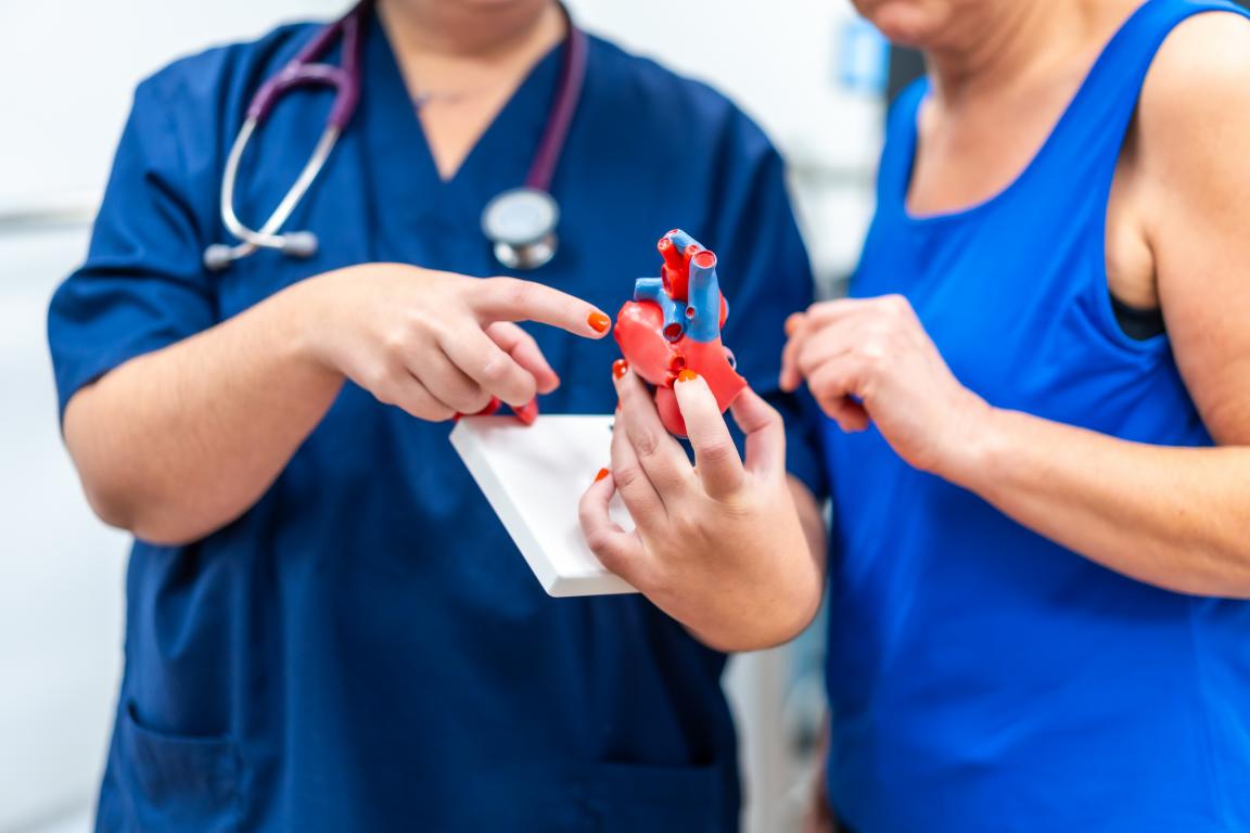 A nurse pointing to a heart model while explaining cardiac structure and function to a patient, potentially discussing heart conditions that lead to ICDs