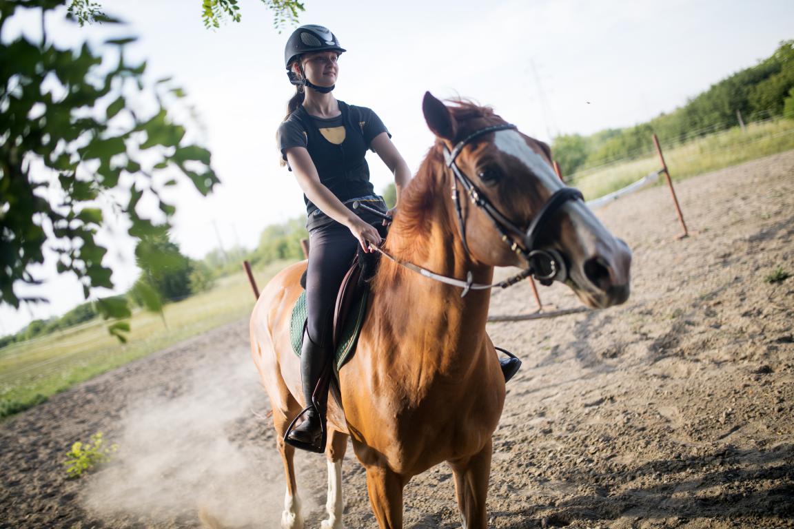 A female rider in a black top and helmet sits on a chestnut horse, riding in an outdoor arena or field, focusing on training or exercise.