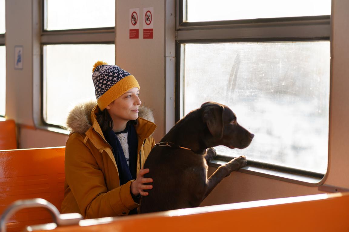 A woman wearing a winter hat and jacket sits on a bus with a large black Labrador dog beside her. The dog, appearing to be an assistance dog, has its front paws on the window sill, looking out, while the woman gently rests a hand on its back.