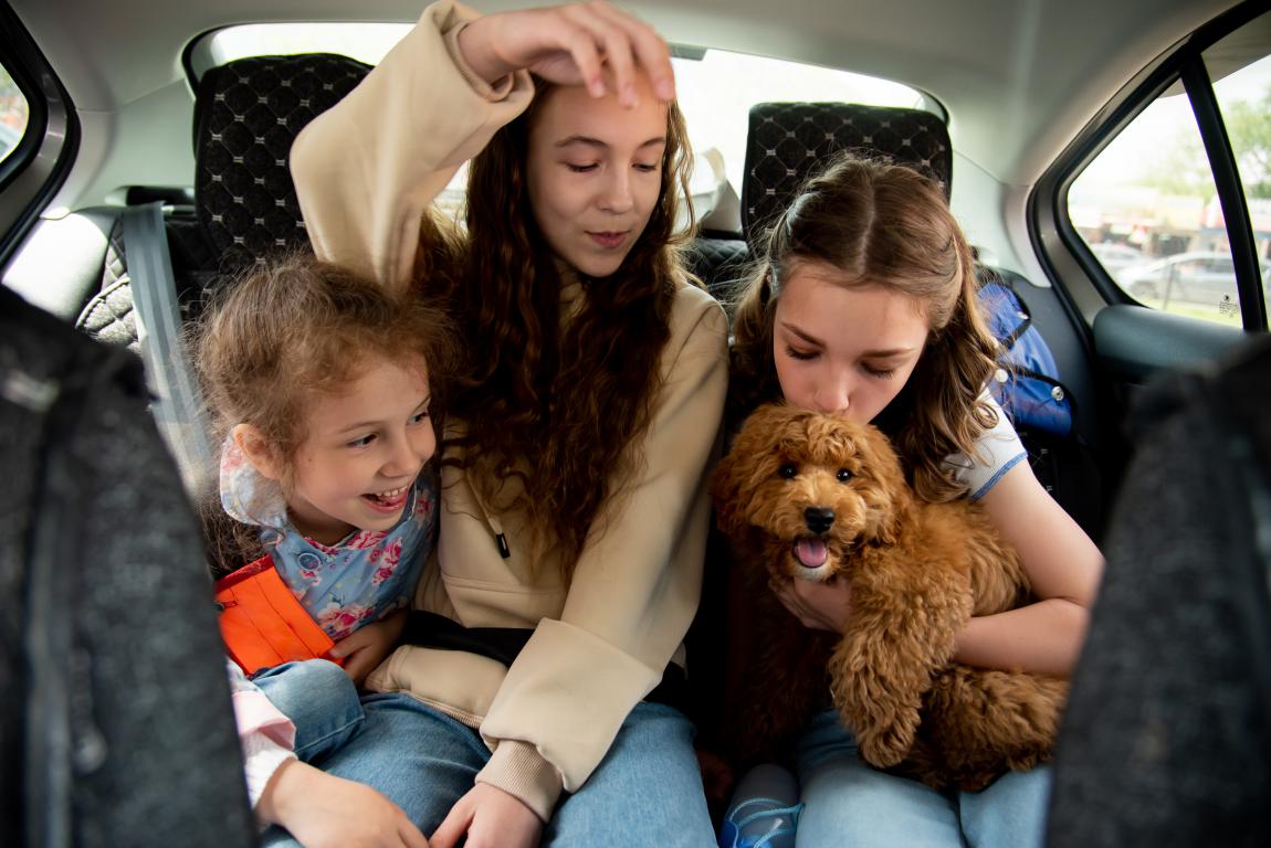 Three children sit in the back seat of a car, with one holding a small, brown assistance dog, representing taxi or private hire travel.