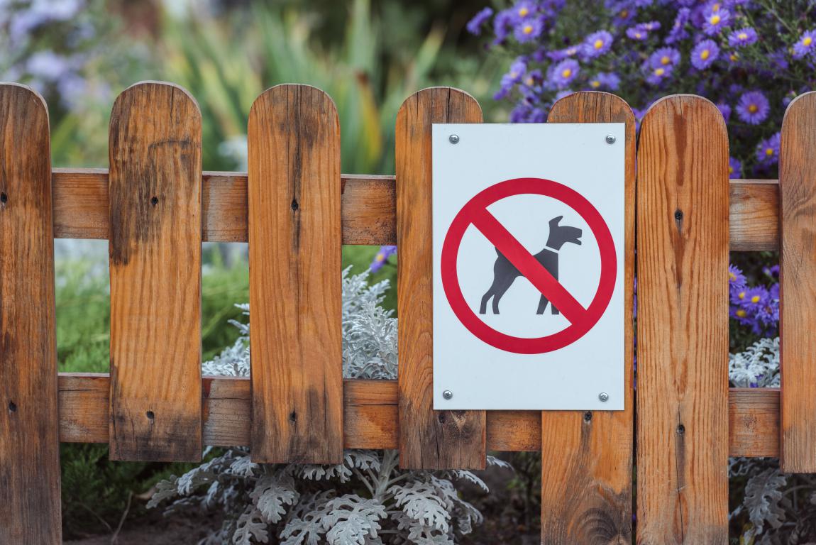 A "no dogs allowed" sign (red circle with a diagonal line through a dog silhouette) displayed on a wooden fence, illustrating general pet restrictions contrasted with assistance dog rights.