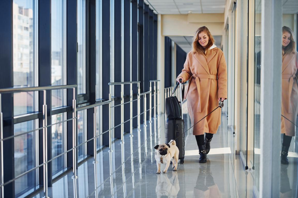 A smiling woman in a long tan coat walks through a bright, modern airport or train station corridor, pulling a black roller suitcase with one hand and holding the leash of a pug dog with the other. The pug, possibly an assistance dog, walks calmly beside her, both heading towards large windows.