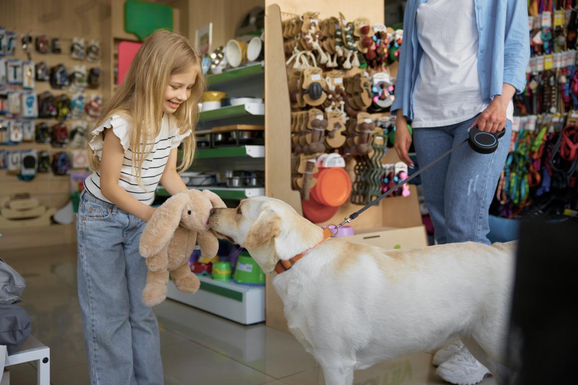  A young girl with a plush toy gently interacting with a yellow Labrador assistance dog wearing a harness in a shop aisle.
