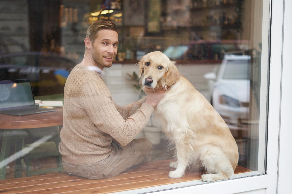  A man with light brown hair and a sweater is sitting inside a window display next to a golden retriever, looking at the camera and smiling. The dog is also looking at the camera.