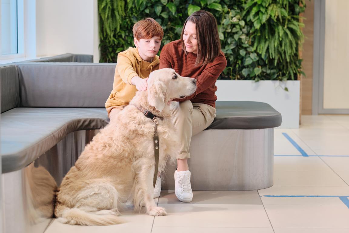 A woman and a young boy are sitting on a bench in a modern waiting area, both petting a large golden retriever service dog. Lush green plants are visible in the background.