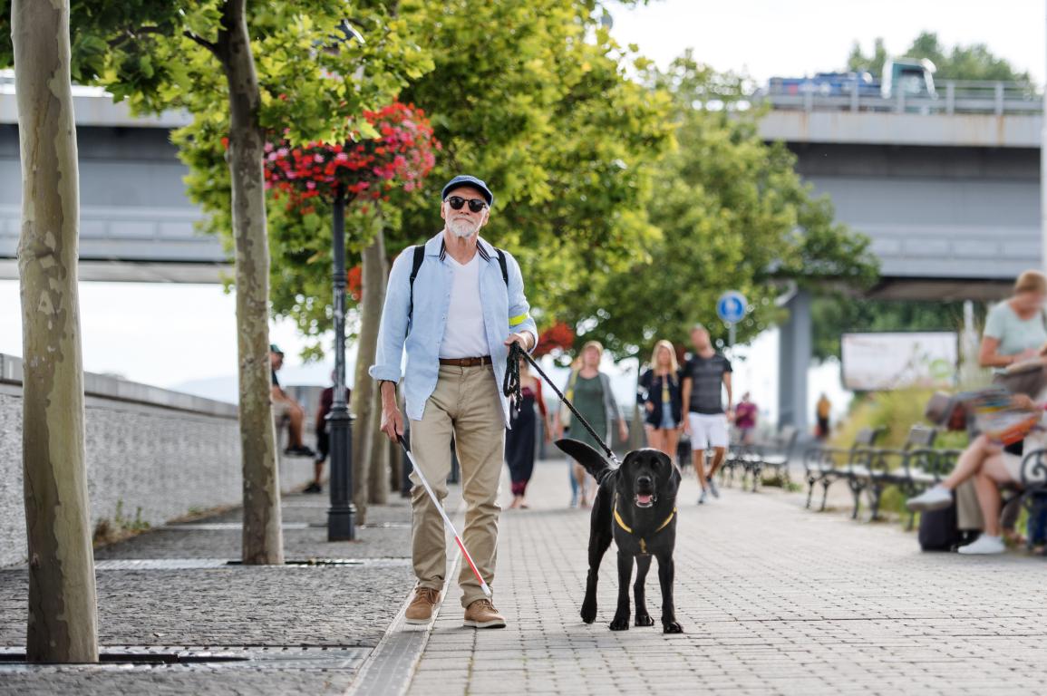 A man with a white cane and sunglasses, wearing a blue shirt and khaki trousers, walks purposefully on a paved path with a black Labrador guide dog wearing a yellow harness. They are in an outdoor setting with trees and blurred people in the background.