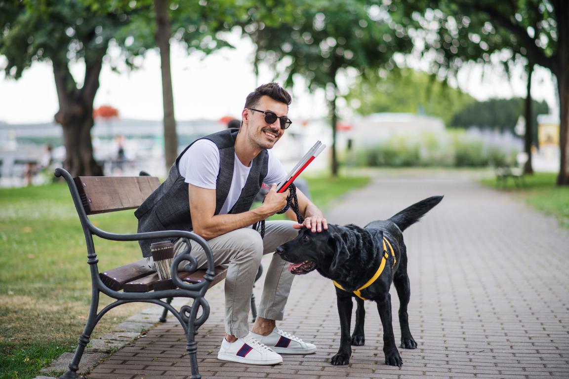 A smiling man with sunglasses and a white cane is sitting on a park bench, petting a black Labrador guide dog wearing a yellow harness. They are on a paved path in a park-like setting with trees and distant buildings.