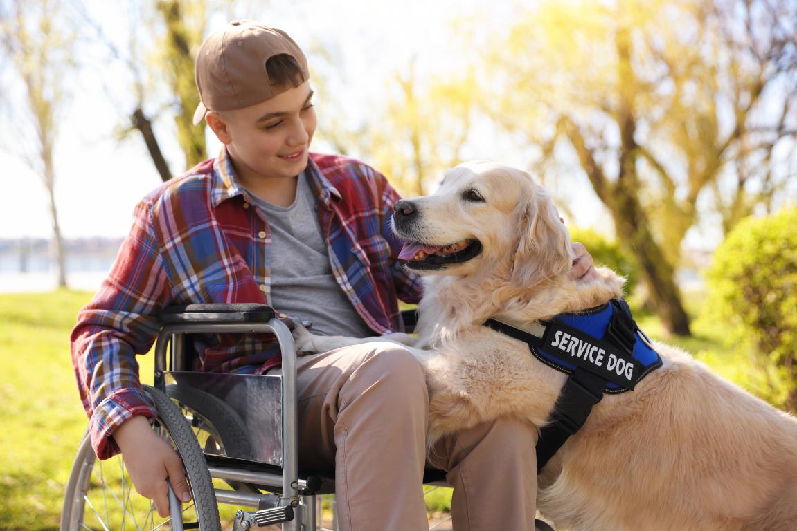 A smiling boy in a wheelchair gently pets a Golden Retriever service dog wearing a blue vest. They are outdoors on a sunny day, with green trees and soft light in the background.