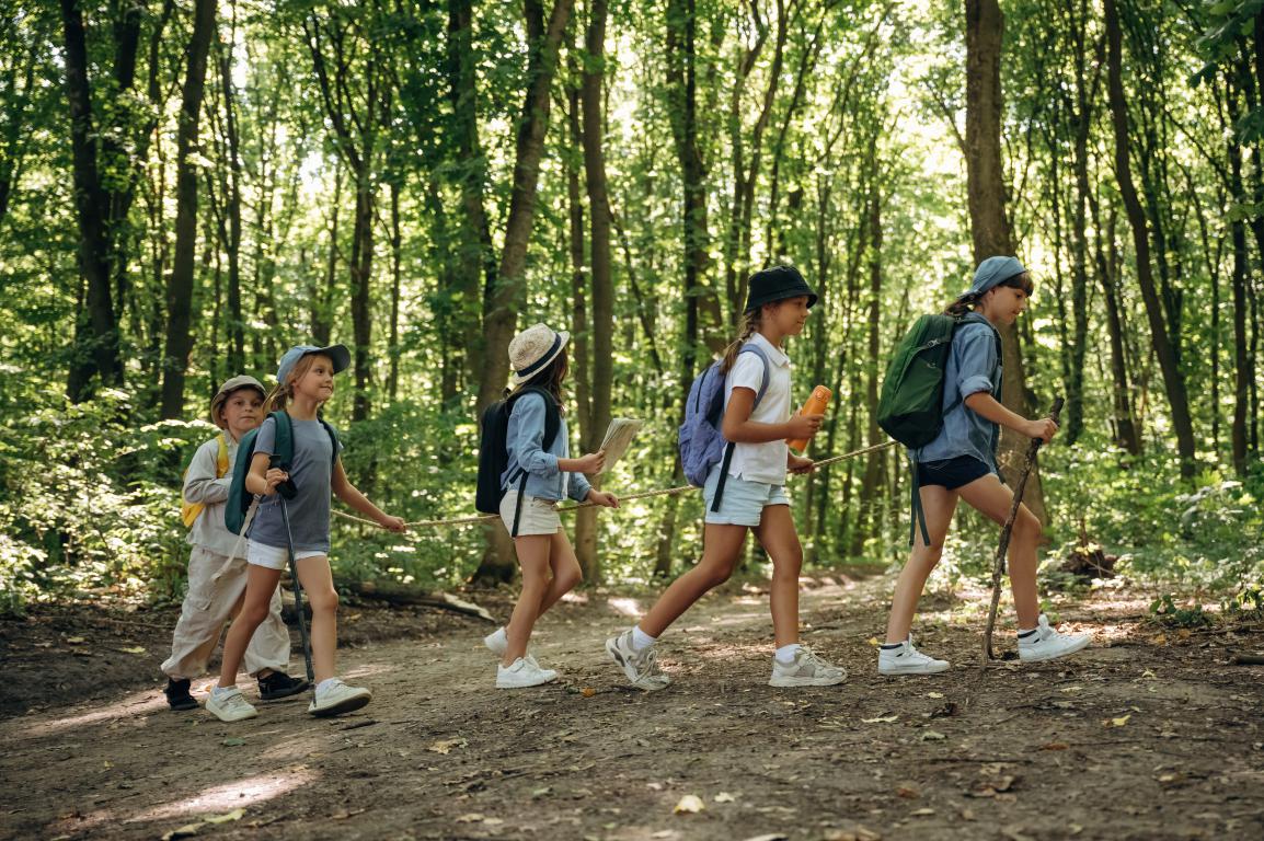 A line of primary school children wearing backpacks and hats hiking along a sunny forest trail on an outdoor school trip.